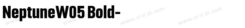 NeptuneW05 Bold字体转换